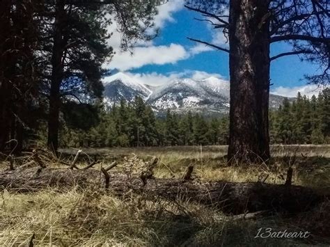 Elevation of Flagstaff, AZ, USA - Topographic Map - Altitude Map