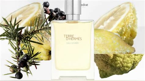 Terre D'Hermes Eau Givrée: Hermes Teases A New Release