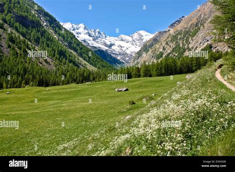 Hiking trail in Valnontey Gran Paradiso National Park, between Piedmont ...