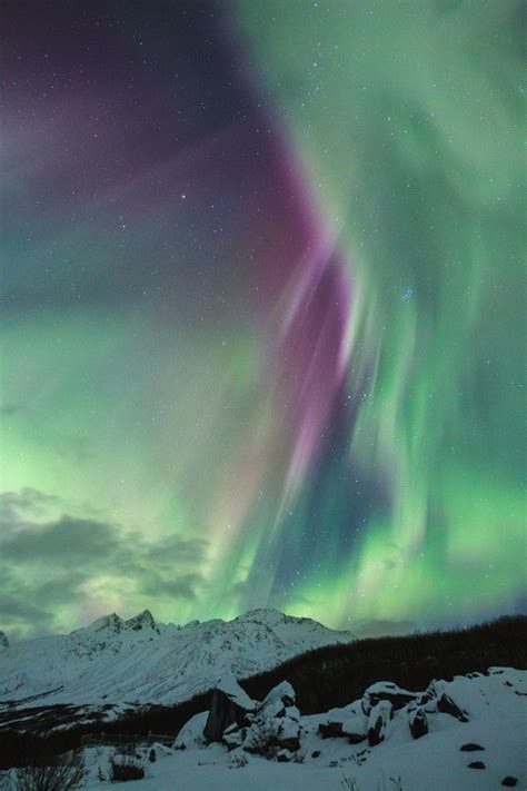 The Full Alaska Northern Lights Tour - Alaska Guide