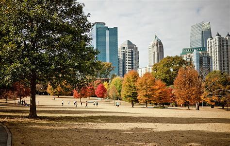 Piedmont Park In The Fall Photograph by Marilyn Nieves | Fine Art America