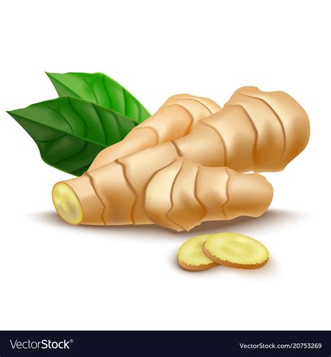 Realistic detailed 3d whole ginger root and slices