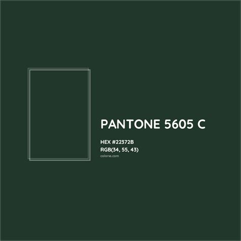 About PANTONE 5605 C Color - Color codes, similar colors and paints - colorxs.com