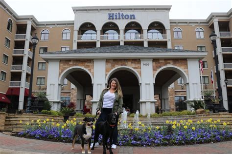 My Dog-Friendly Staycation at the Hilton Dallas/Southlake Town Square - The Bark Blogger