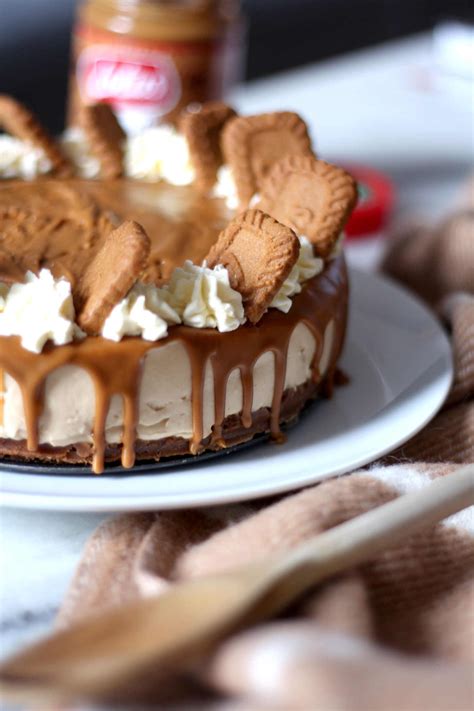 A No-Bake Lotus Biscoff Cheesecake Recipe - The Lovecats Inc