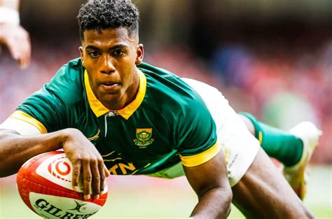 Springboks midfield maestro gives Moodie stamp of approval