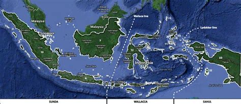 Map of Indonesia including the 23 islands considered in the present ...