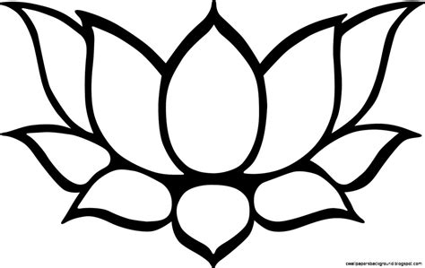 Lotus Flower Pencil Drawing | Free download on ClipArtMag