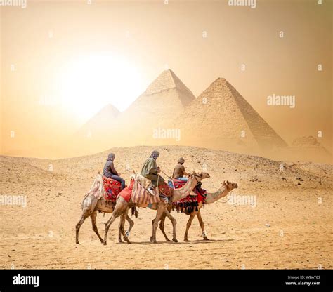 Camel Caravan and the Pyramids of Giza in Egypt Stock Photo - Alamy