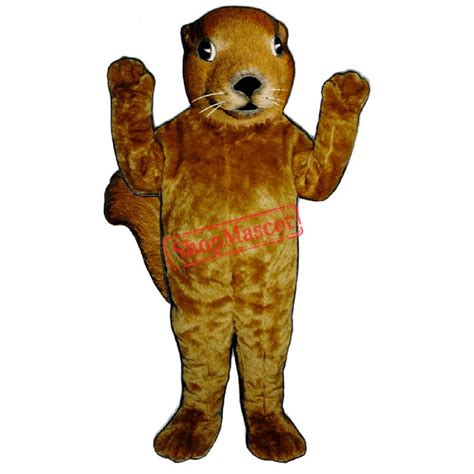 Realistic Squirrel Mascot Costume