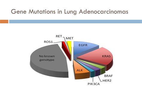 PPT - ALK in lung cancer: Past, present, and future PowerPoint Presentation - ID:2512098