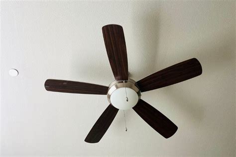 How Many Blades Is Best Ceiling Fan? - IndoorClime