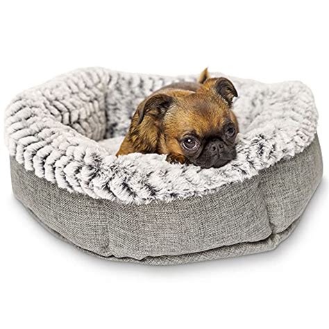 Top 10 best selling list for chewy cat bed small - Best Family Pets