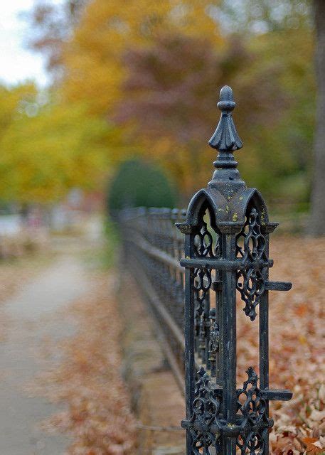 43 Victorian Wrought Iron Fences ideas | wrought iron fences, wrought iron, iron fence