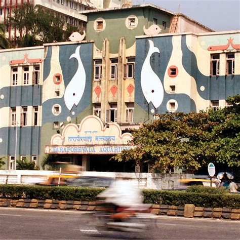 A brighter Taraporewala Aquarium awaits visitors