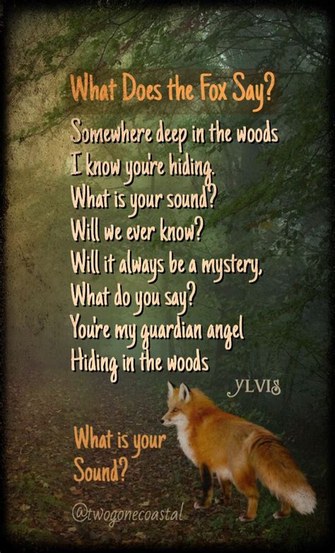 What Does the Fox Say? II | Art music, Woodlands, Music photography