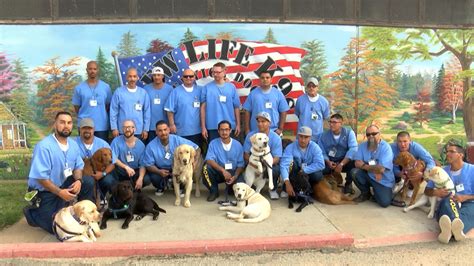 Soledad inmates at CTF training service dogs to change lives – KION546