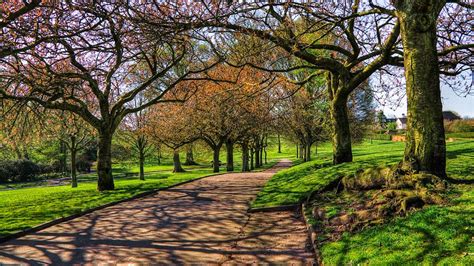 A walk in the Park. | HDR creme