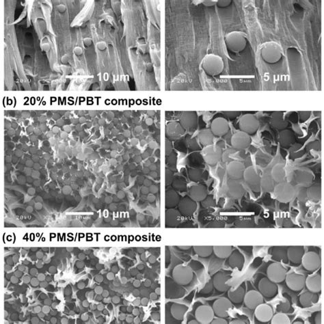 Mechanical properties of PBT and PMSQ/PBT composites with different... | Download Scientific Diagram