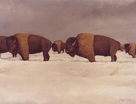 Buffalo In Snow Painting by Alan Suliber