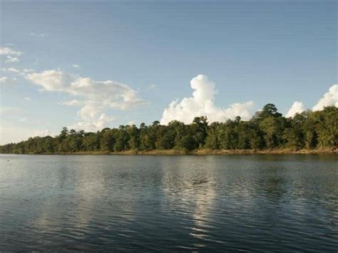 Altamaha River | Official Georgia Tourism & Travel Website ...