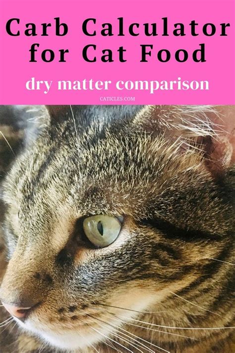 Carb Calculator for Cat Food [Dry Matter Comparison Guide] | Cat food, Dry cat food, Cat diet