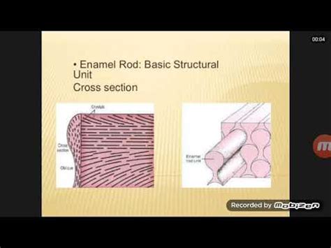 Enamel rods - YouTube