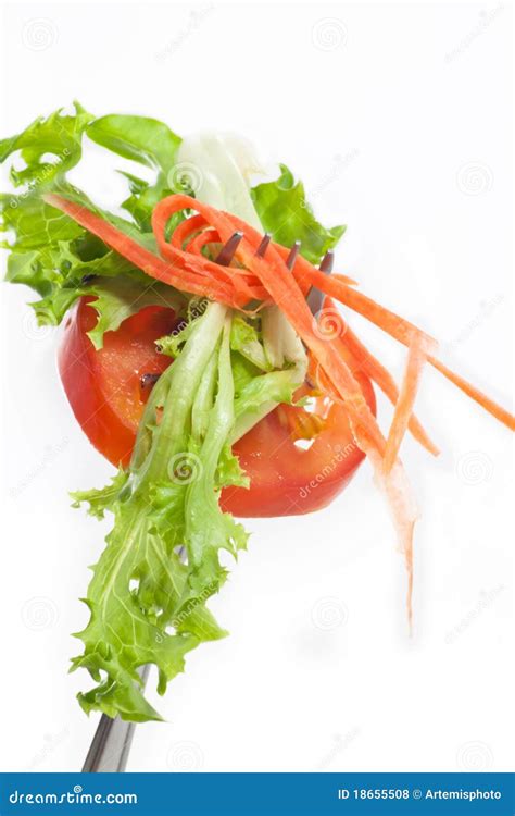 Salad on fork stock photo. Image of eating, cucumber - 18655508