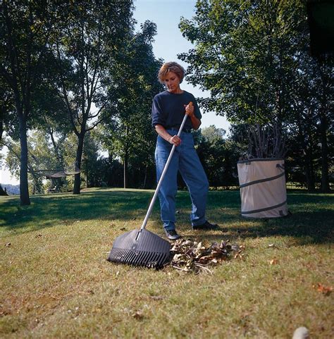 🥇 Fiskars Leaf Rake Reviews: Must Read Before You Buy