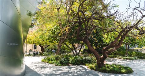 25 secret gardens and green spaces hidden around LA - Curbed LA