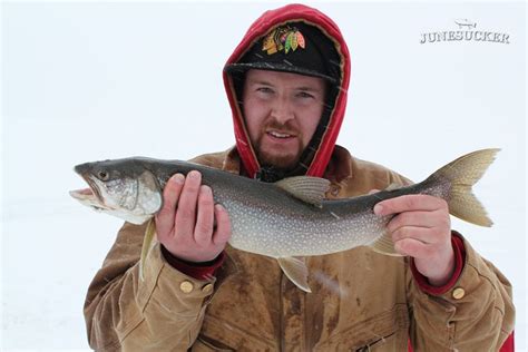 Lake Trout from Fish Lake in Utah. | Lake fishing, Fish, Lake