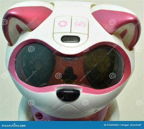 Robot Cat Pet - Fully Autonomous Companion Stock Photo - Image of face ...