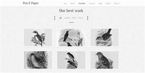 12 Cool Black and White Website Design Examples for Your Inspiration