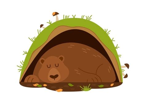 Hibernating Bear Template