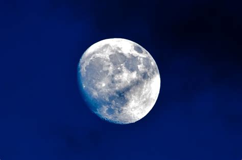 Moon Free Stock Photo - Public Domain Pictures