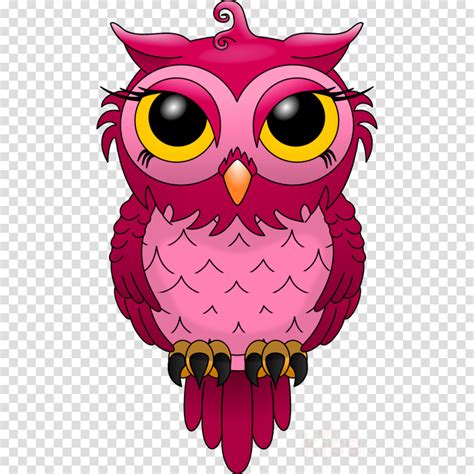 Free Owl Clipart Transparent Background, Download Free Owl Clipart ...