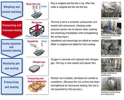 rice farming process