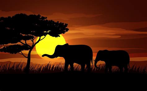 African wildlife on sunset with elephants silhouette in 2022 | Elephant ...