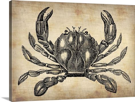 Vintage Crab Wall Art, Canvas Prints, Framed Prints, Wall Peels | Great Big Canvas