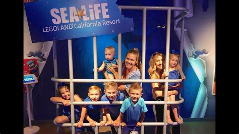 Sea Life Aquarium at Legoland California - YouTube