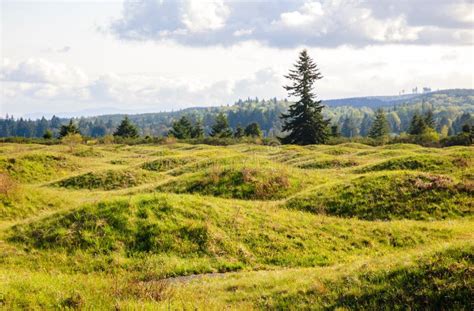 Mima Mounds Natural Area Preserve Stock Photo - Image of geological ...