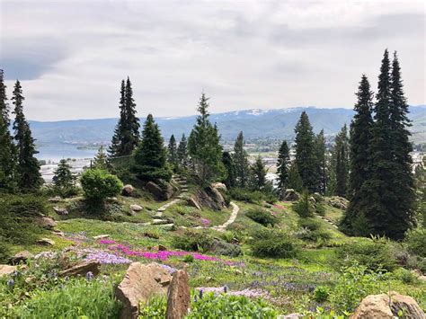 Garden With a Side of Mountains - Fine Gardening