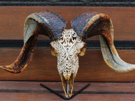 Ram Skull Carved Sheep Skull Decor, Ram Skull Carving With Horn. - Etsy