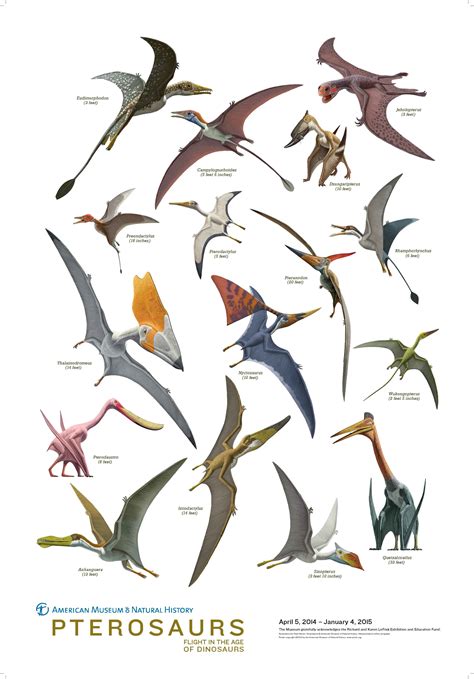 Pterosaur Poster | Dinosaur illustration, Prehistoric animals ...