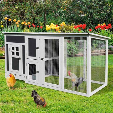 Best Backyard Chicken Coop : 6 Basics For Chicken Coop Design Backyard Poultry : If you're not a ...