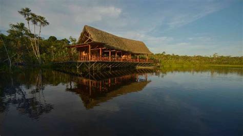 5 Amazon Lodge Photos | Intrepid Travel Blog - The Journal