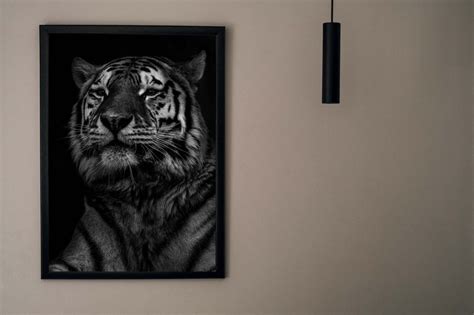 Black and White Tiger Canvas Photo Modern Tiger Printable - Etsy