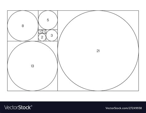 Fibonacci sequence circles golden ratio Royalty Free Vector