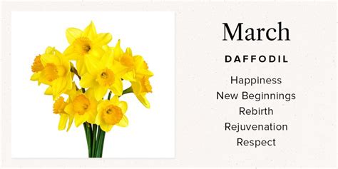 Your Birth Month Flower and What It Means | Bouqs Blog