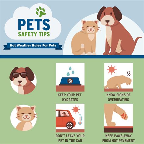 Pet Safety Graphics | Ready.gov